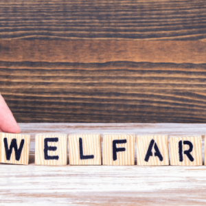 School Welfare Officer