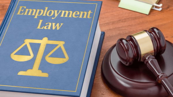 Employment Law & Recruitment Consultant