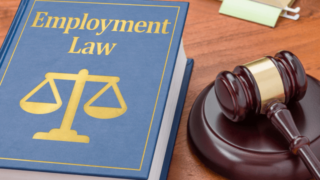 Employment Law & Recruitment Consultant